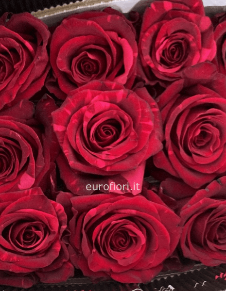 Mazzo Rose rosse da comporre a stelo